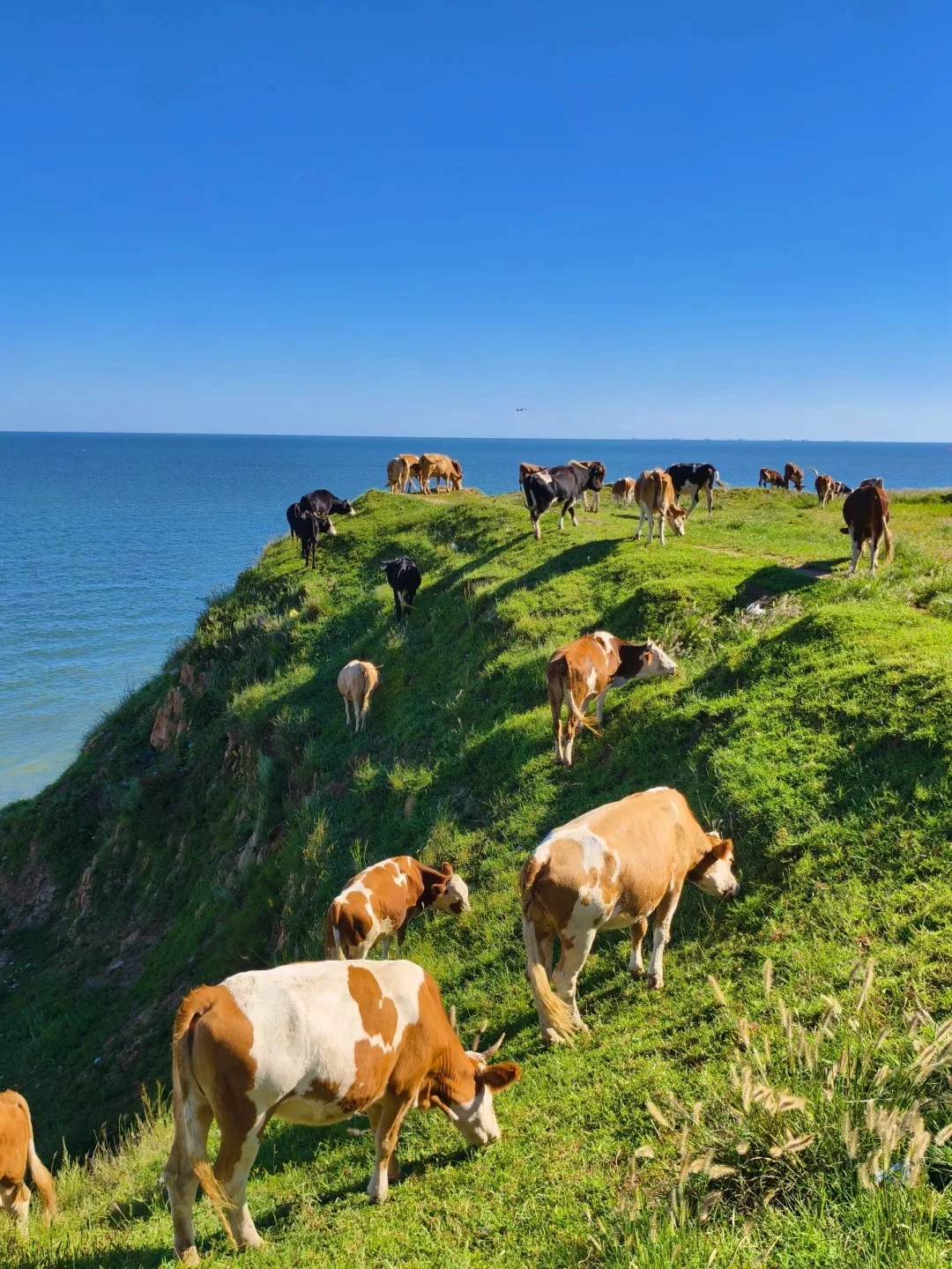 📍锦州2日游超全攻略 建议收藏❗❗