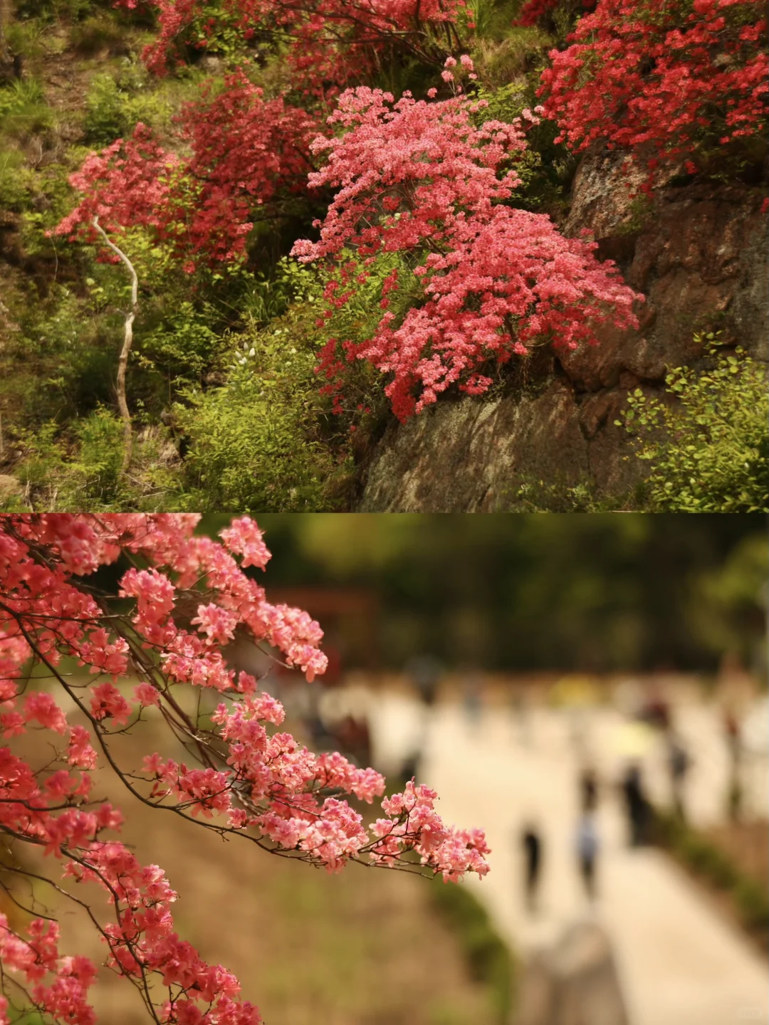 就在洛阳！不允许有人不知道这个小众景区！