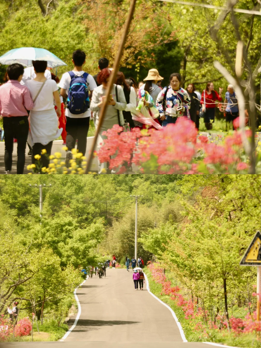 就在洛阳！不允许有人不知道这个小众景区！