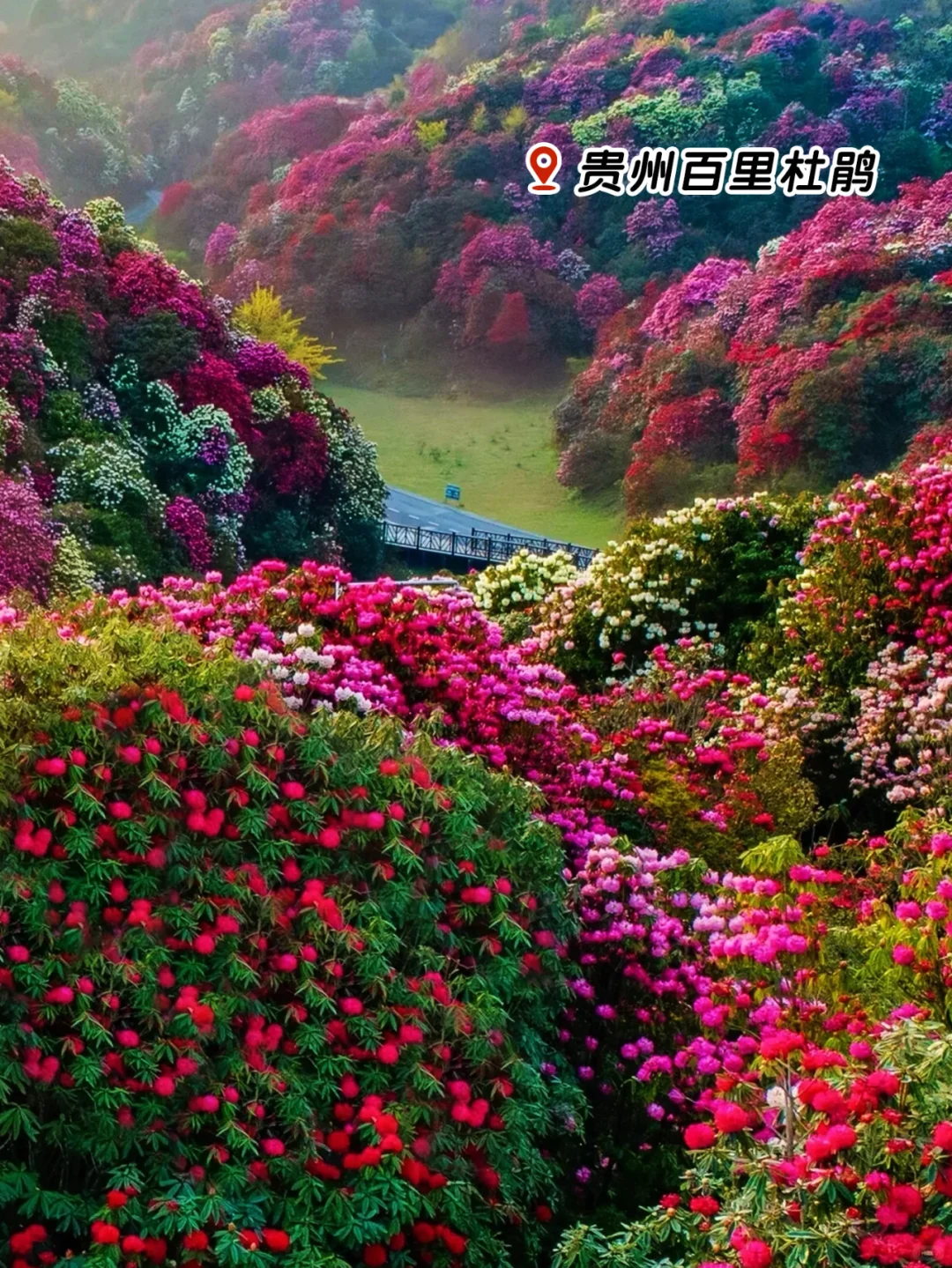 春风十里🌸不如一场说走就走的旅行