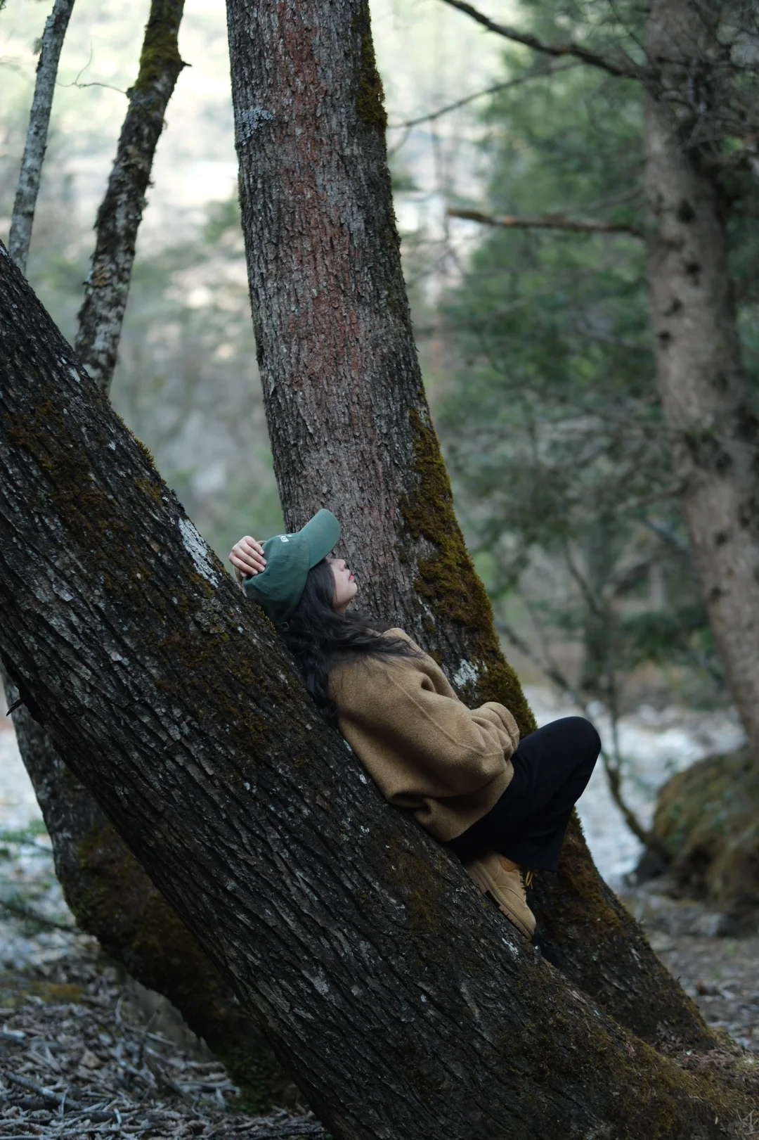 雨崩·雨后徒步