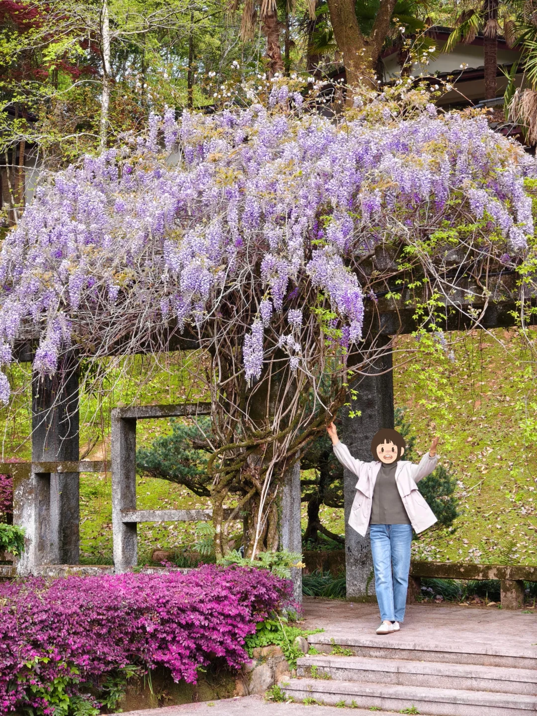 武夷山三日游🏔人均1.5k松弛感旅游攻略②