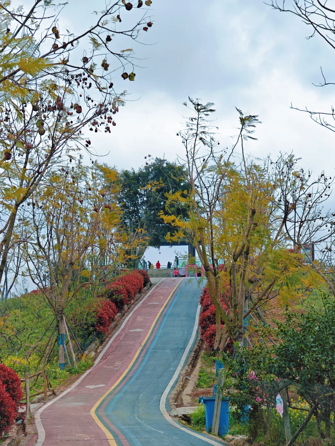 比龙泉山人少，比林芝近！成都人的桃花源