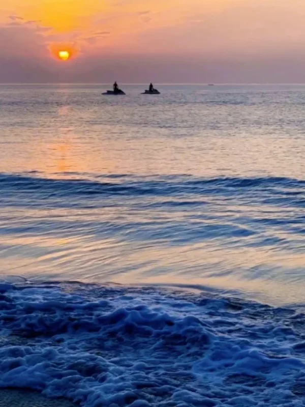 🌼惠州已经回归，强烈建议大家最好不要去惠州了……