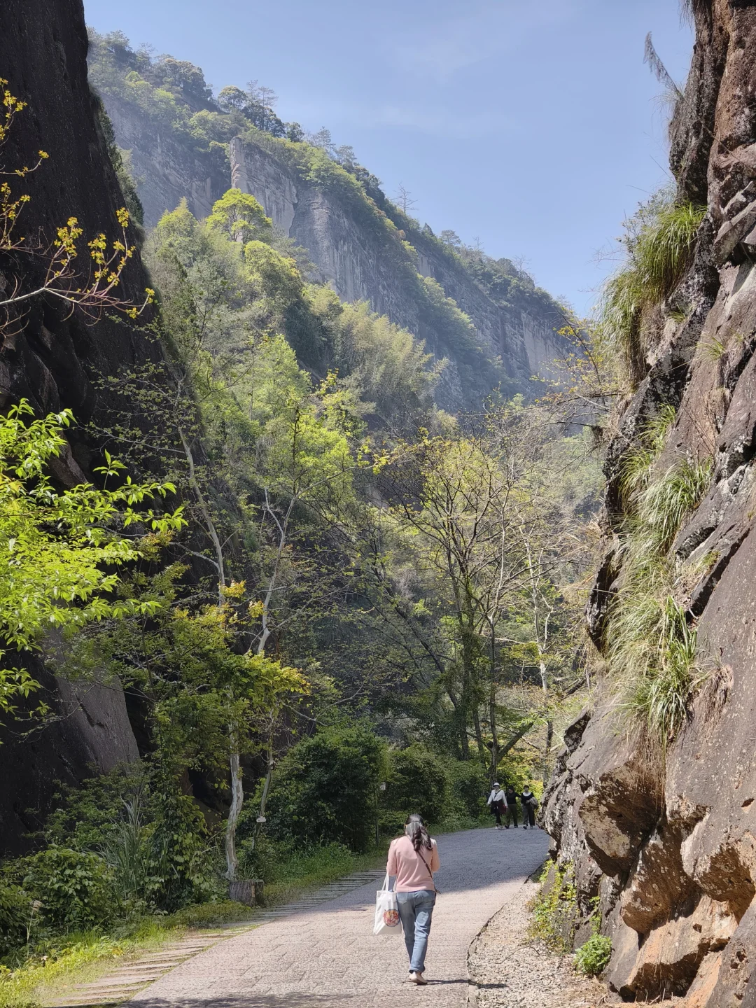 武夷山三日游🏔人均1.5k松弛感旅游攻略②