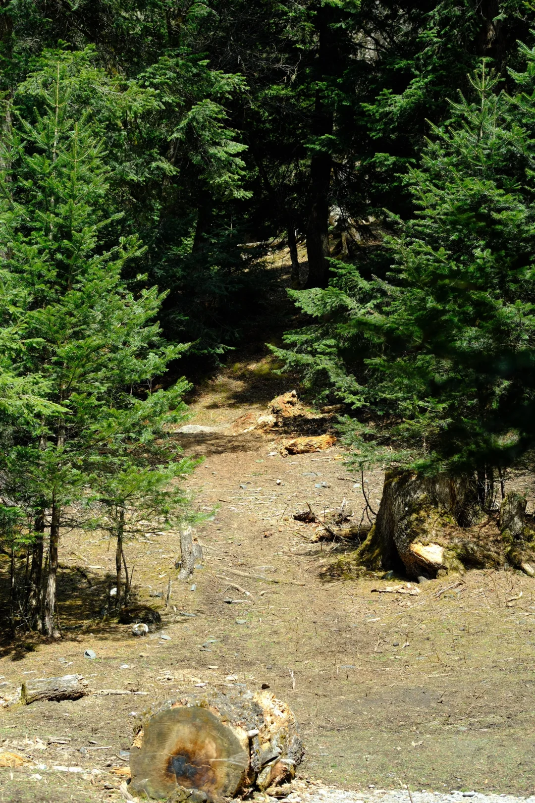 雨崩·雨后徒步
