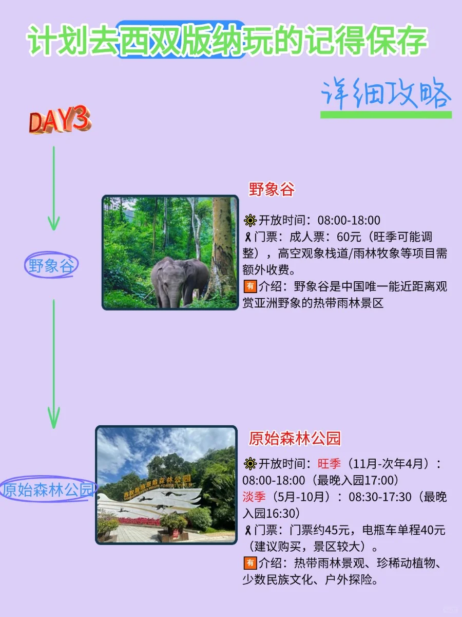 4－5月西双版纳旅游攻略，很难找全