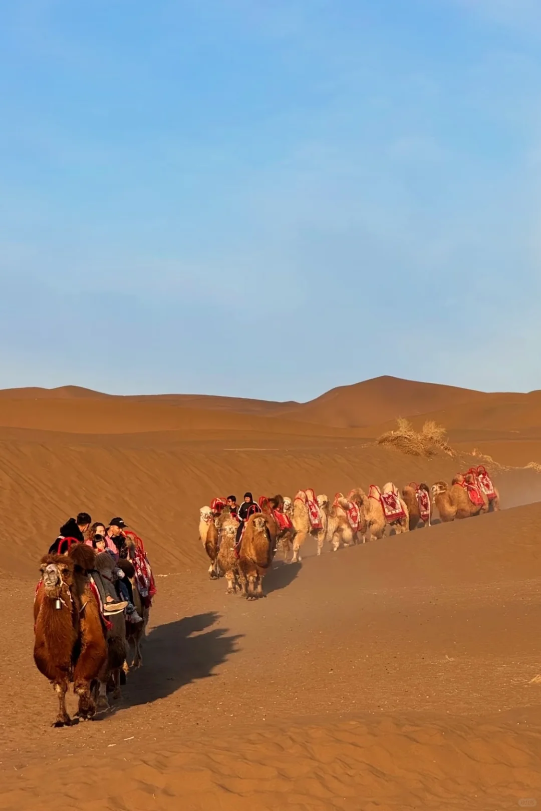 沙漠拍照｜沙漠Ootd