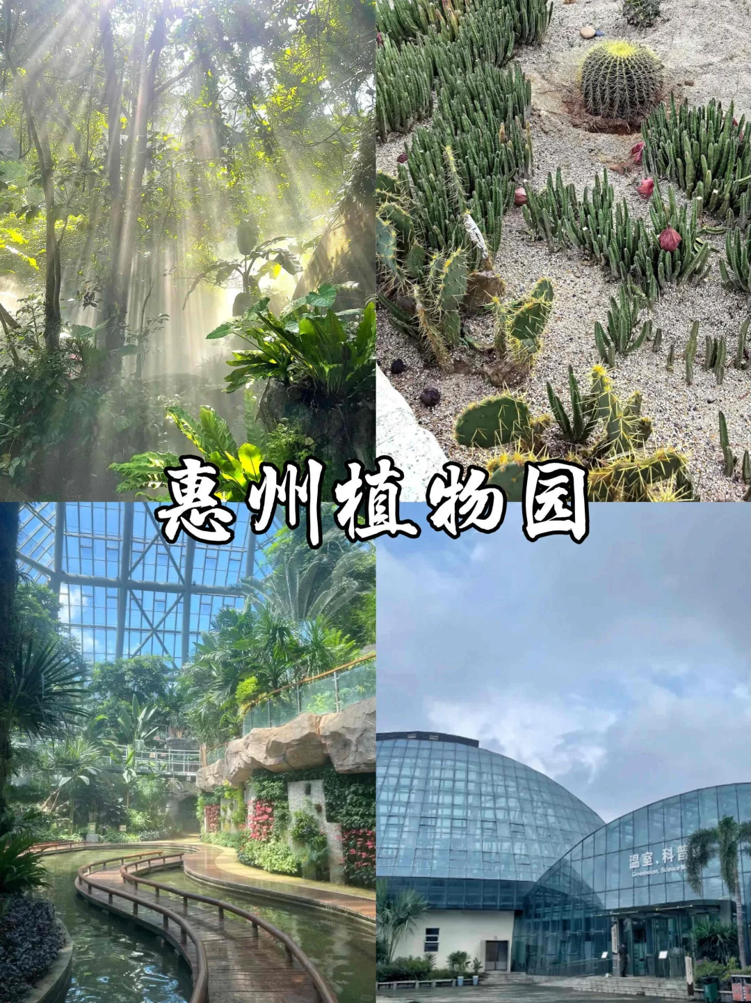 📍惠州出行｜打工人周末不出市的九个好去处