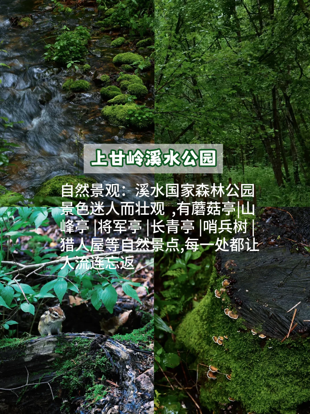 别告诉我你还没去过！伊春一定要打卡的景点