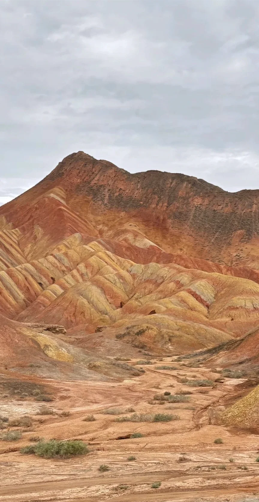 西北跟团已回，能帮一个是一个（永远不删！ ！！