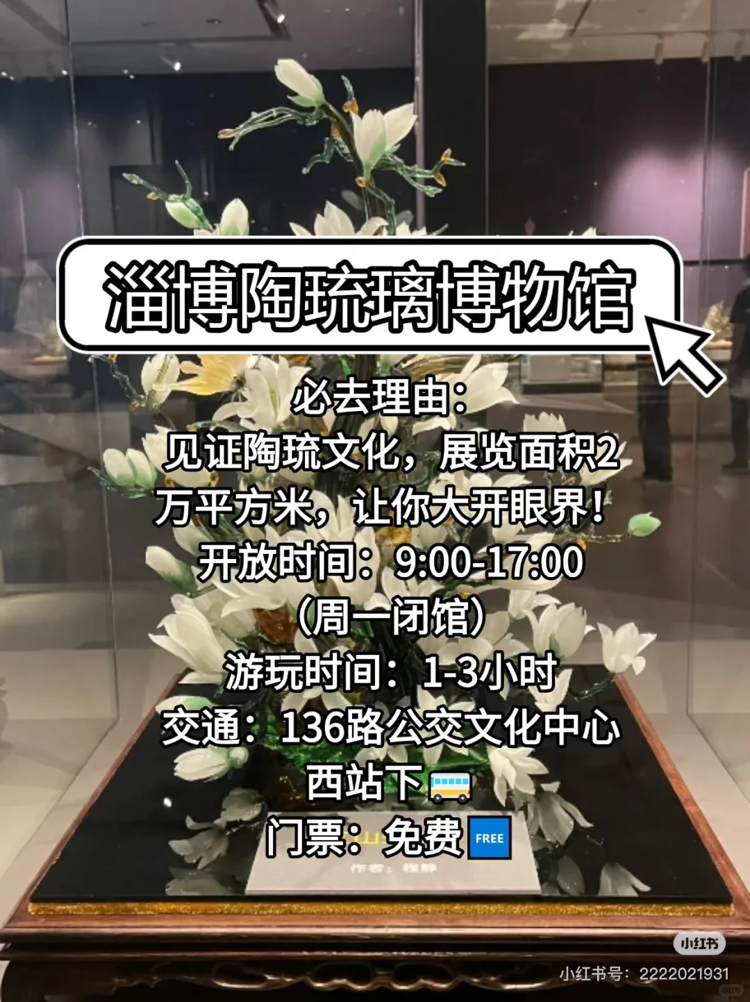 淄博必游景点攻略