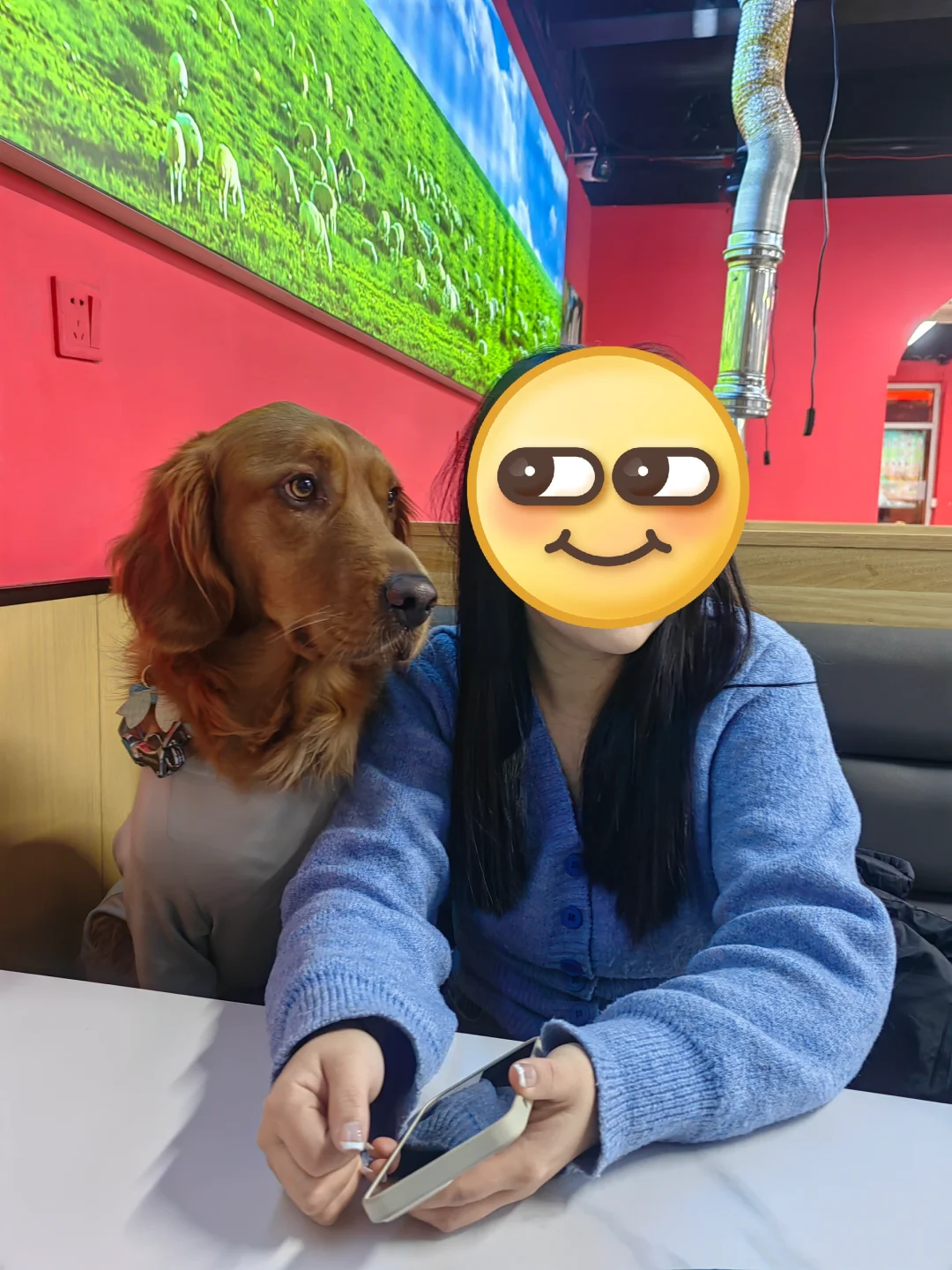 日照宠物友好攻略丨景点•餐厅🐶