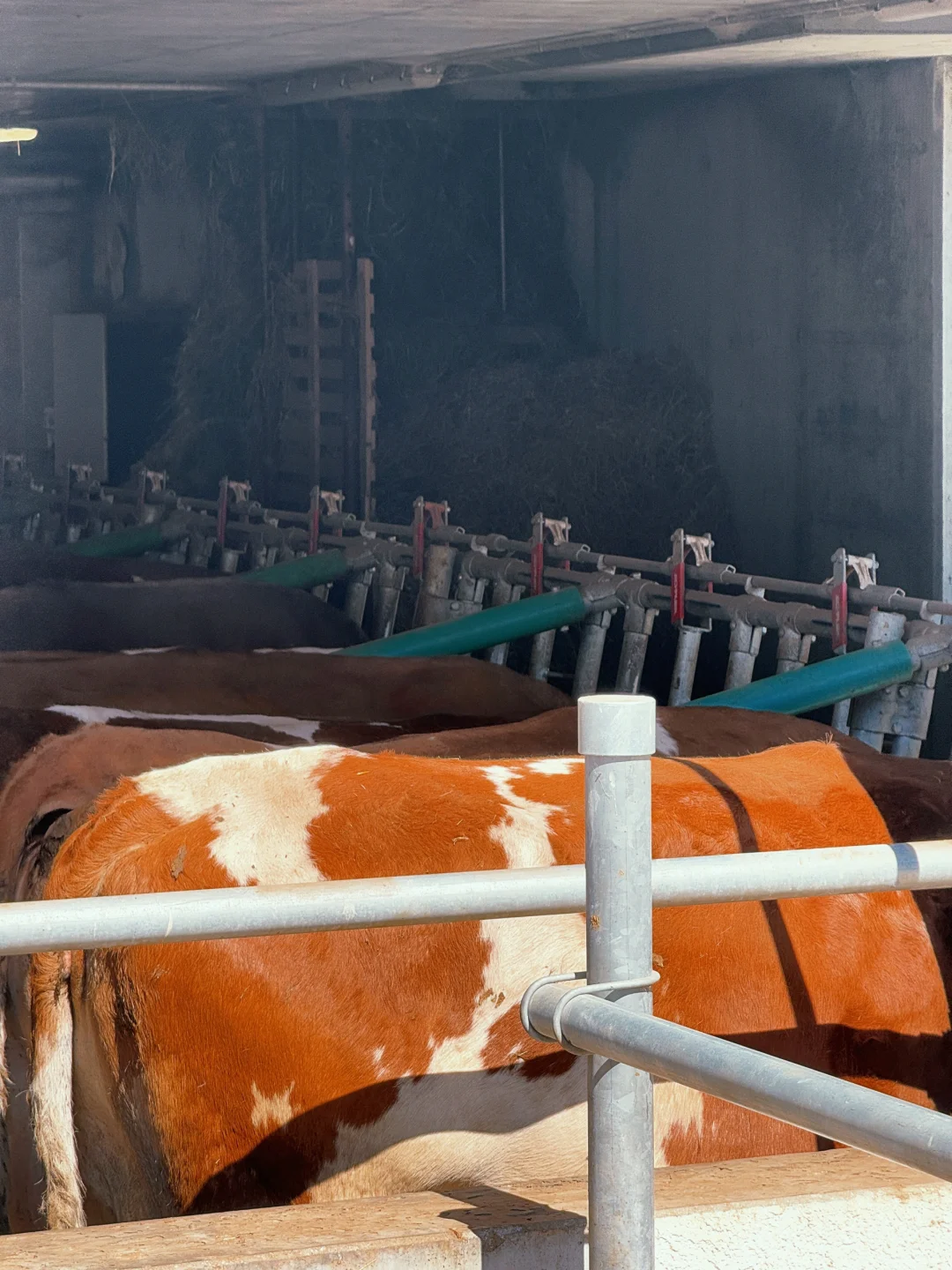 Dolomites孤独教堂一直孤独