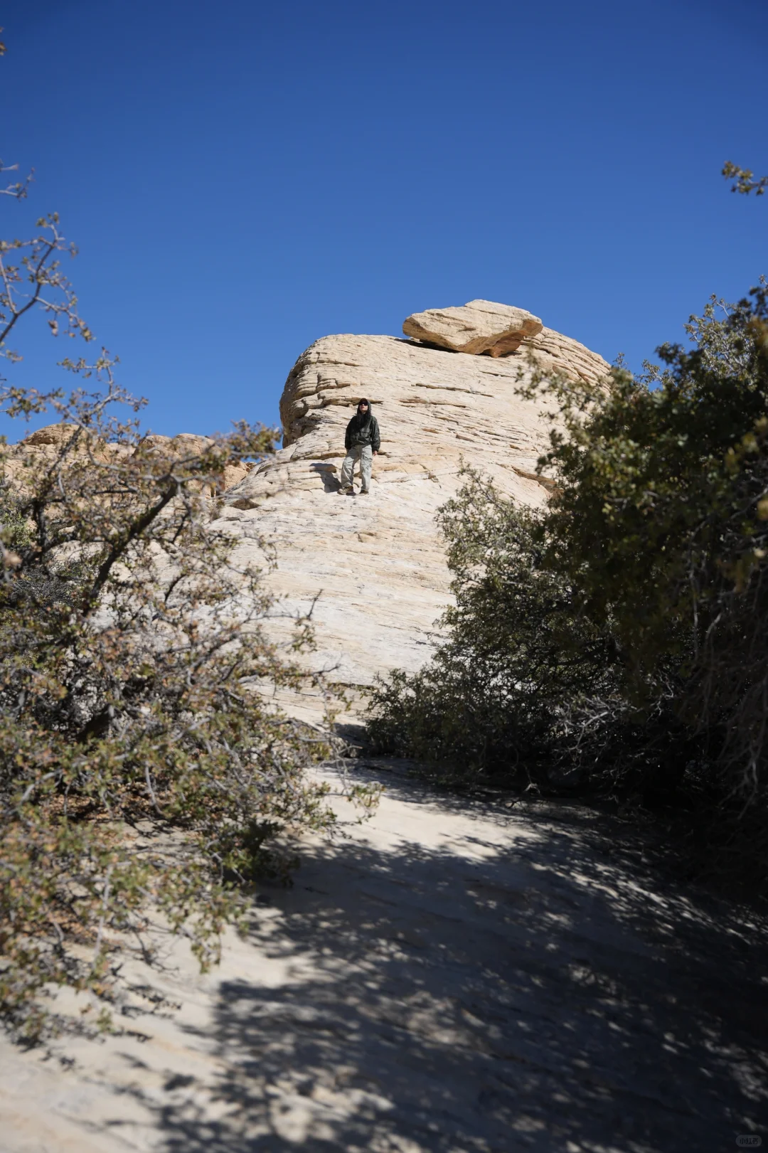 来都来了 记录一下