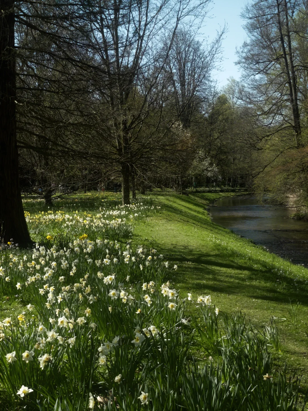 🇩🇪啊！是春天！