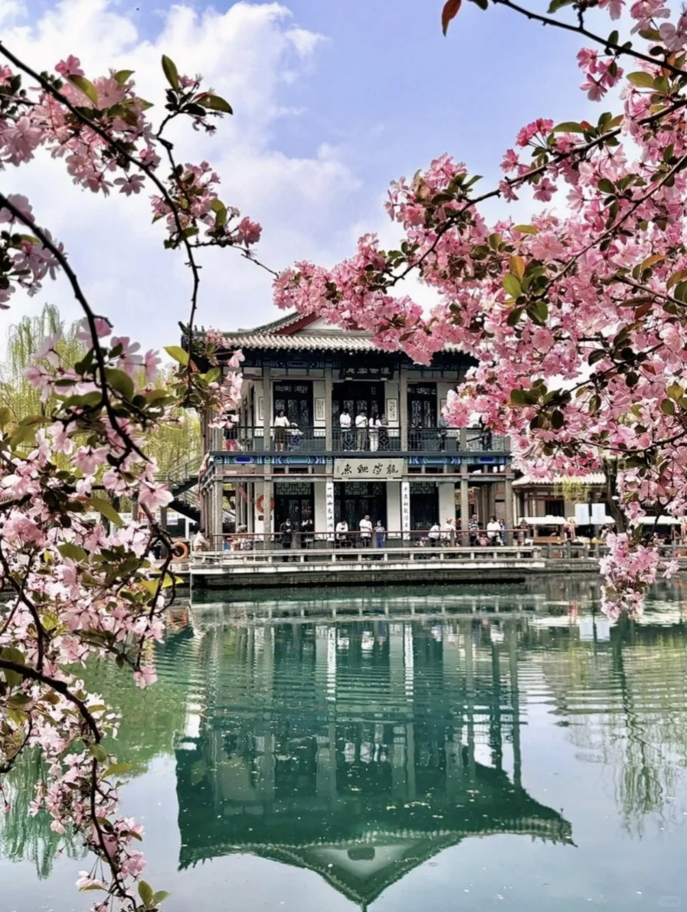 春日济南治愈系旅行攻略｜电影幻城超出片！