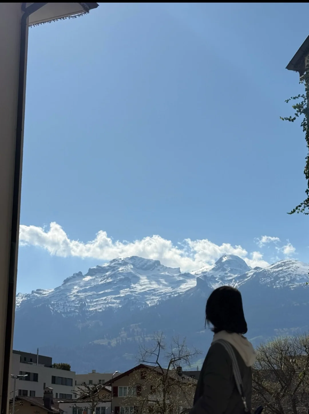 瑞士有点太好拍🏔️