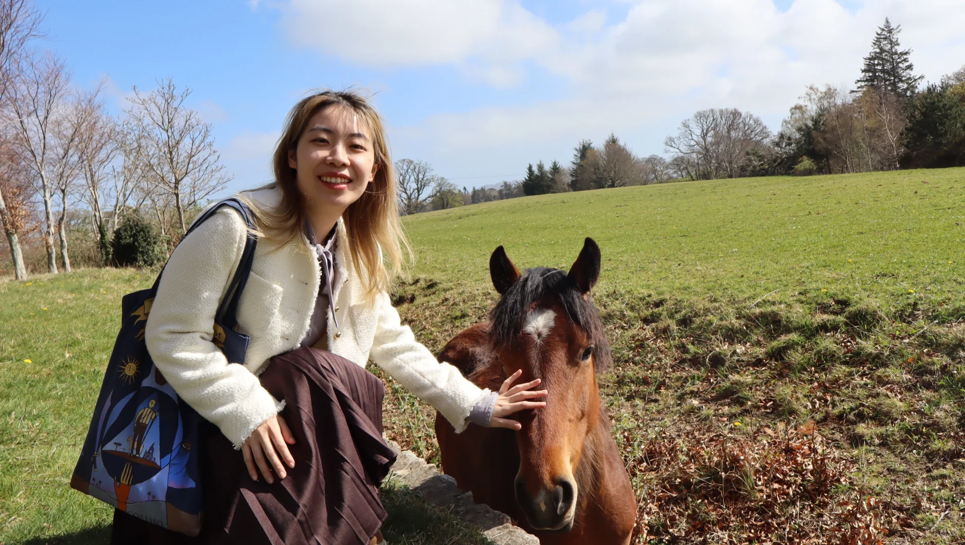 春天🍃古堡🏰花园💐powerscourt历险