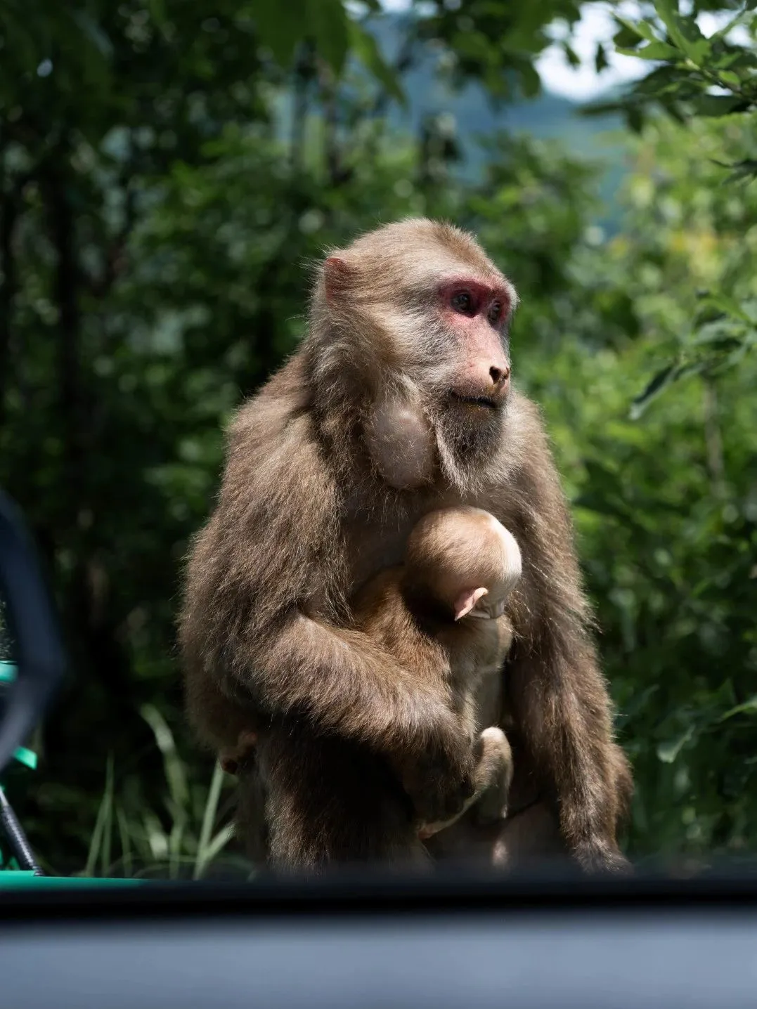 以为安徽宏村够美了,直到我来到这...