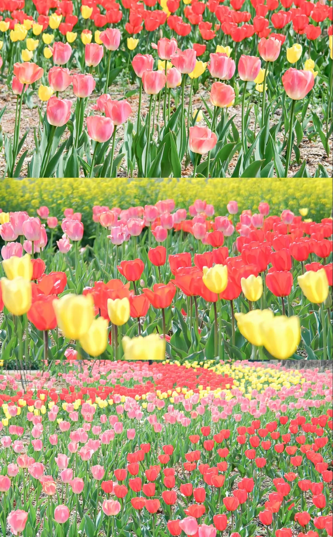 📌 江西南昌清明节旅游攻略