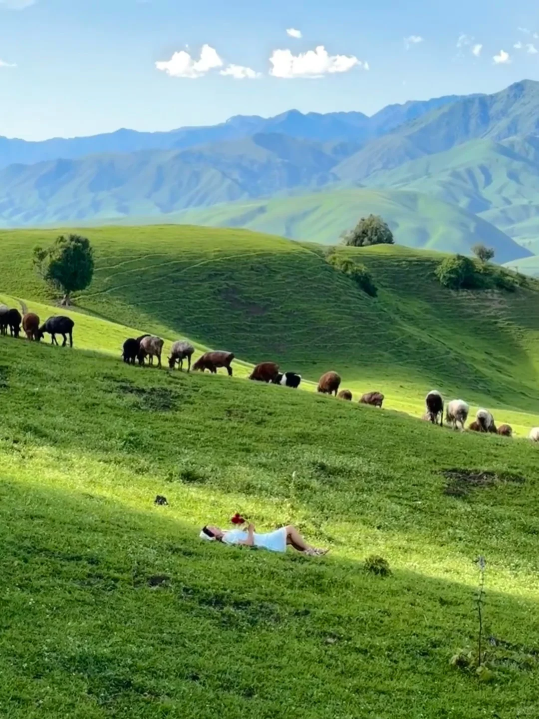 实话难听📍但4-5月来内蒙古的都是大冤种