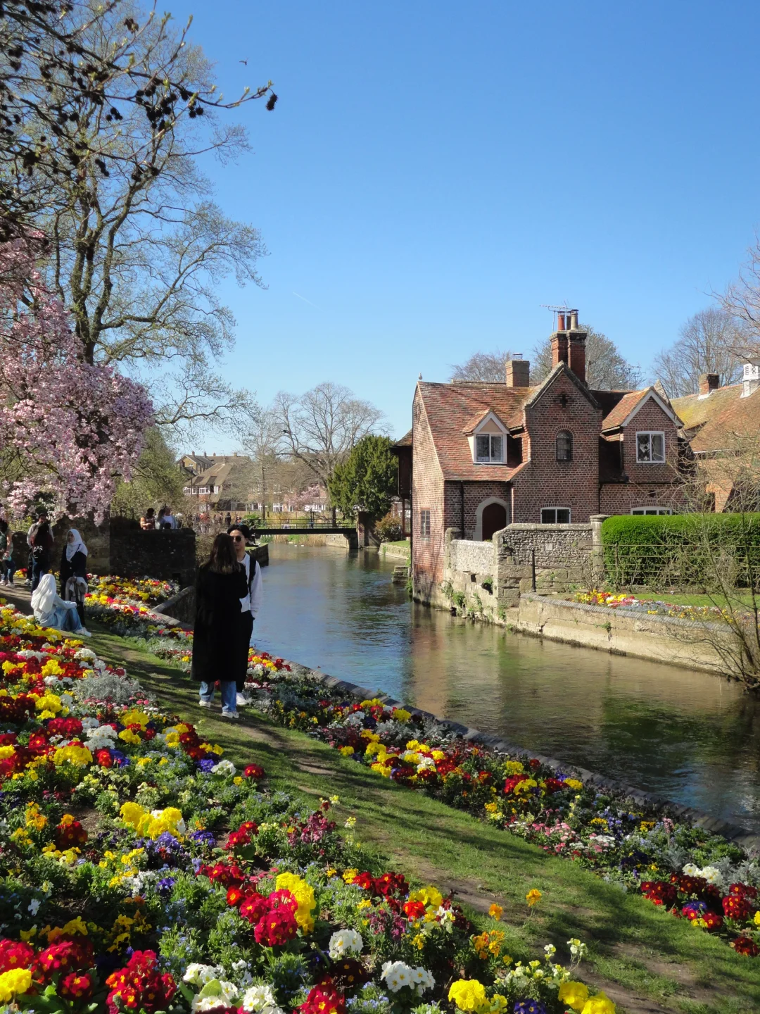 坎特伯雷➕whitstable一日游
