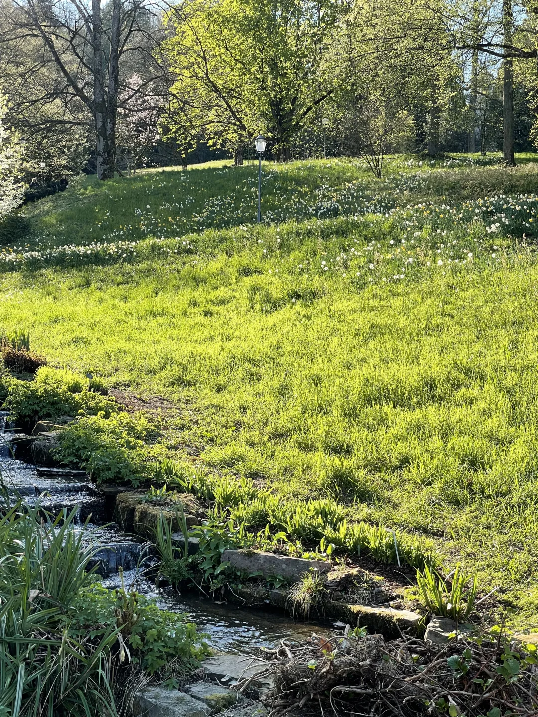 🇩🇪啊！是春天！