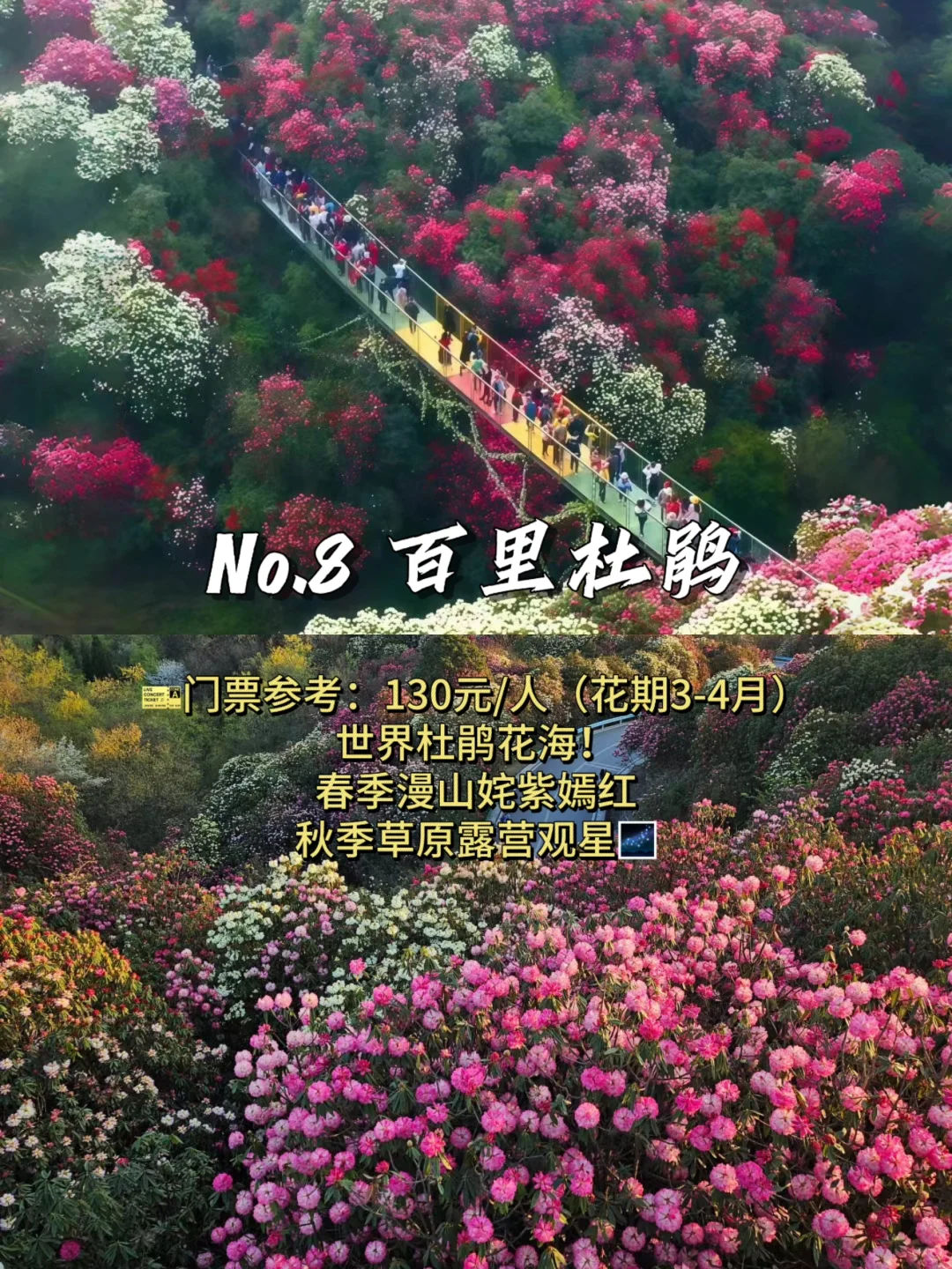 贵州必打卡的九大景点攻略｜附门票+避坑指南