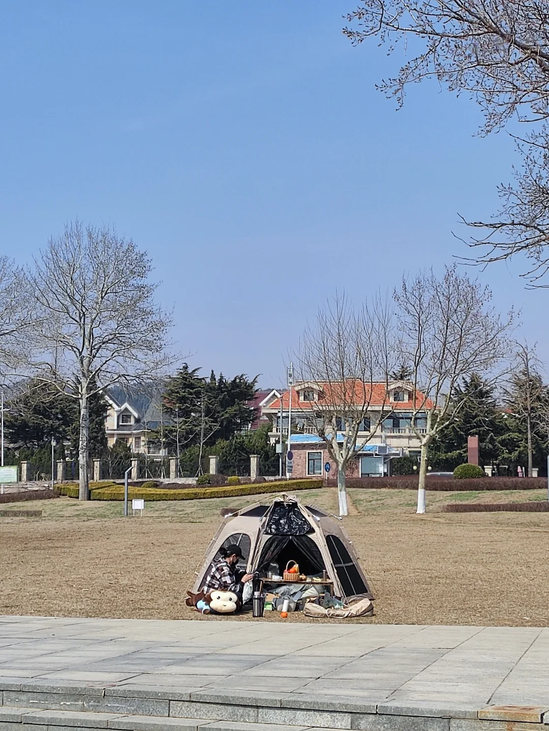 人与海鸥，共享春天的蔚蓝之境