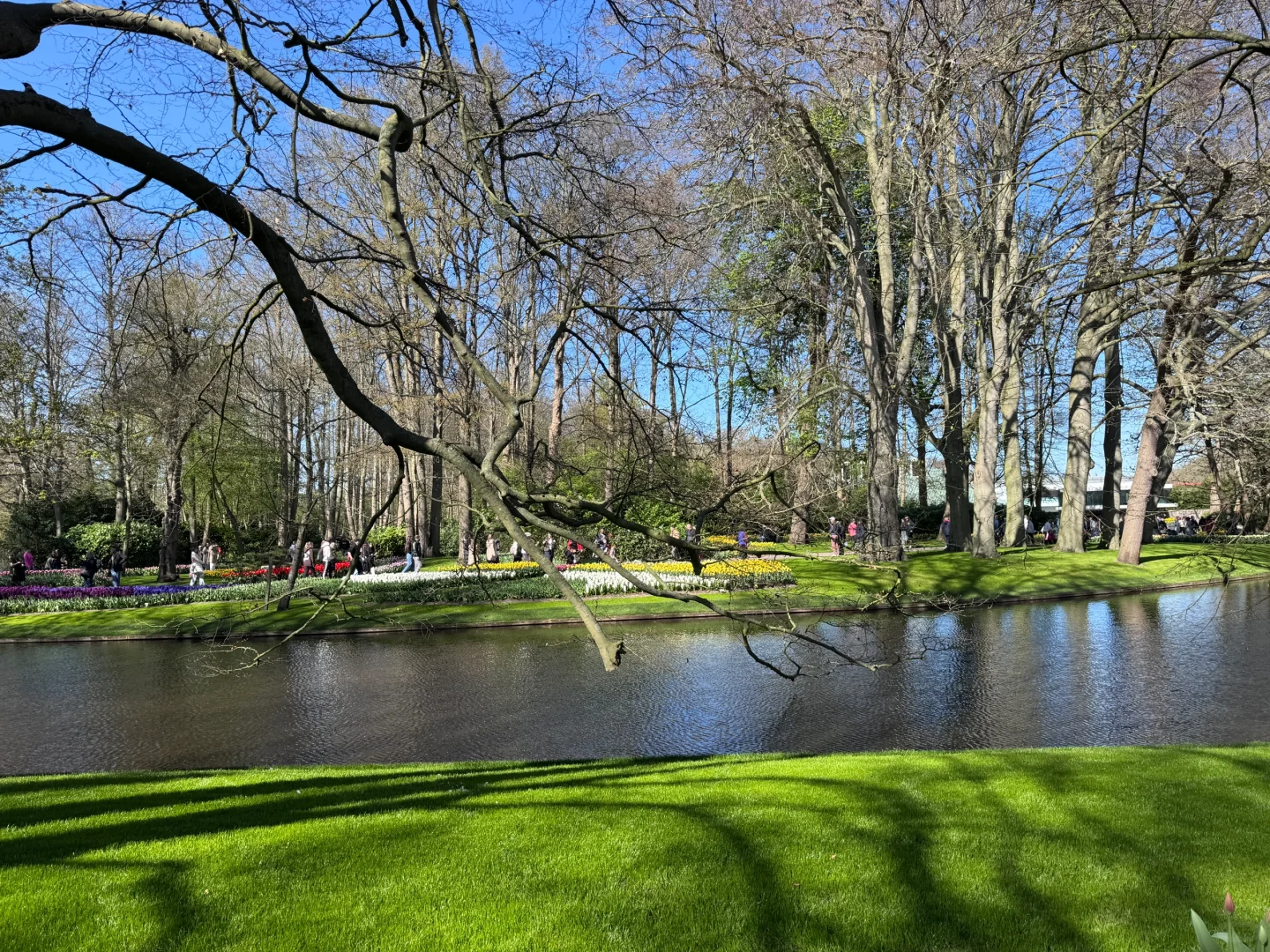 阿姆斯特丹“太子湾”