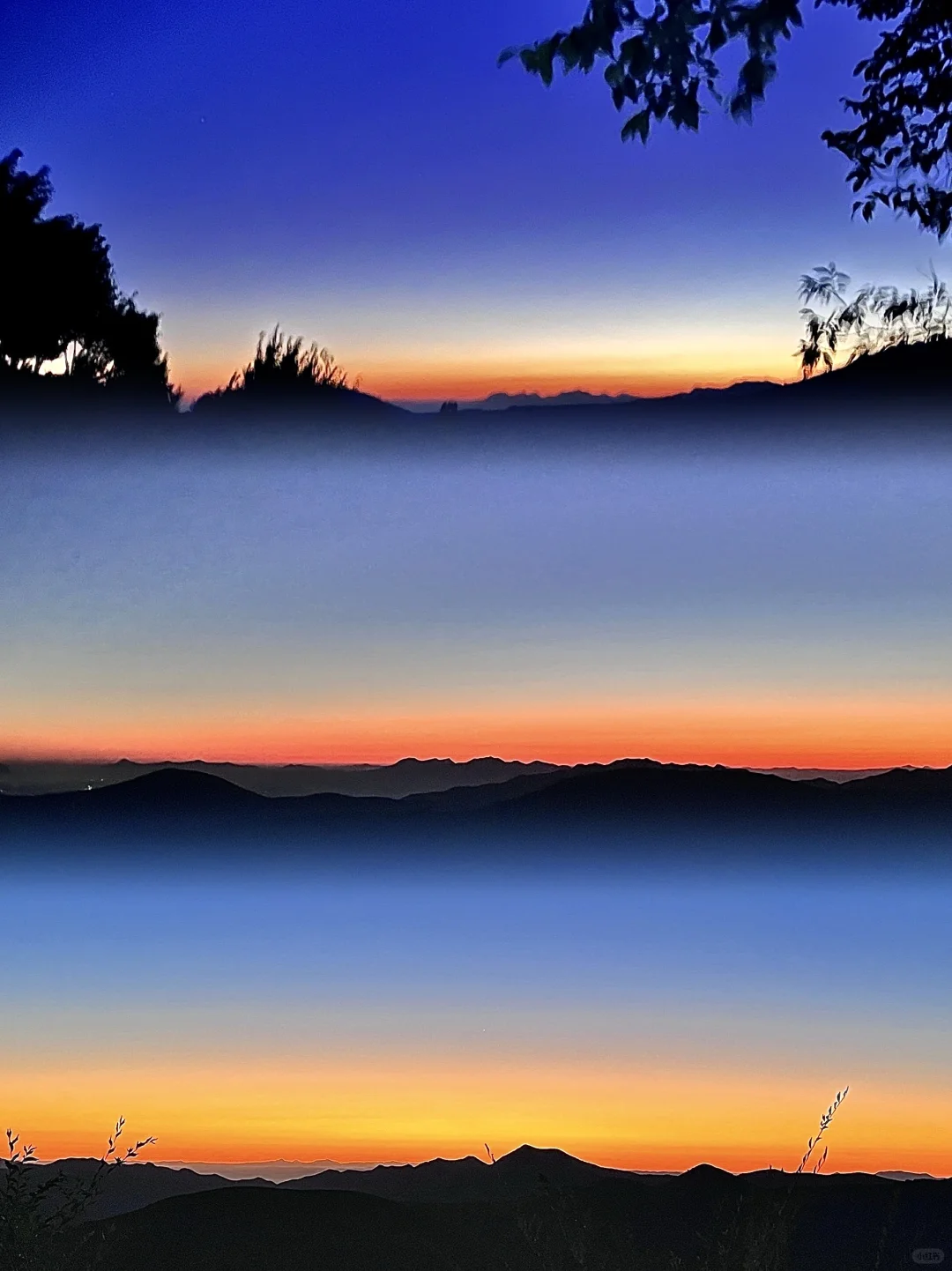 朝阳｜清明不知道去哪玩？朝阳真的很值得！