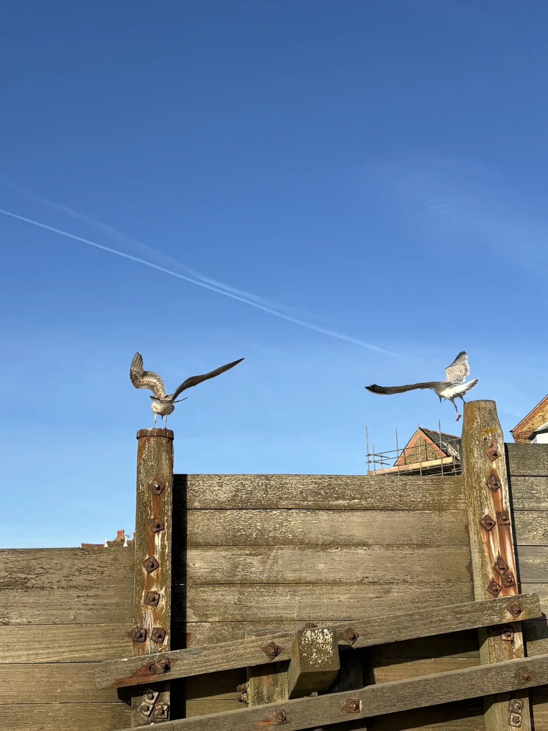 坎特伯雷➕whitstable一日游