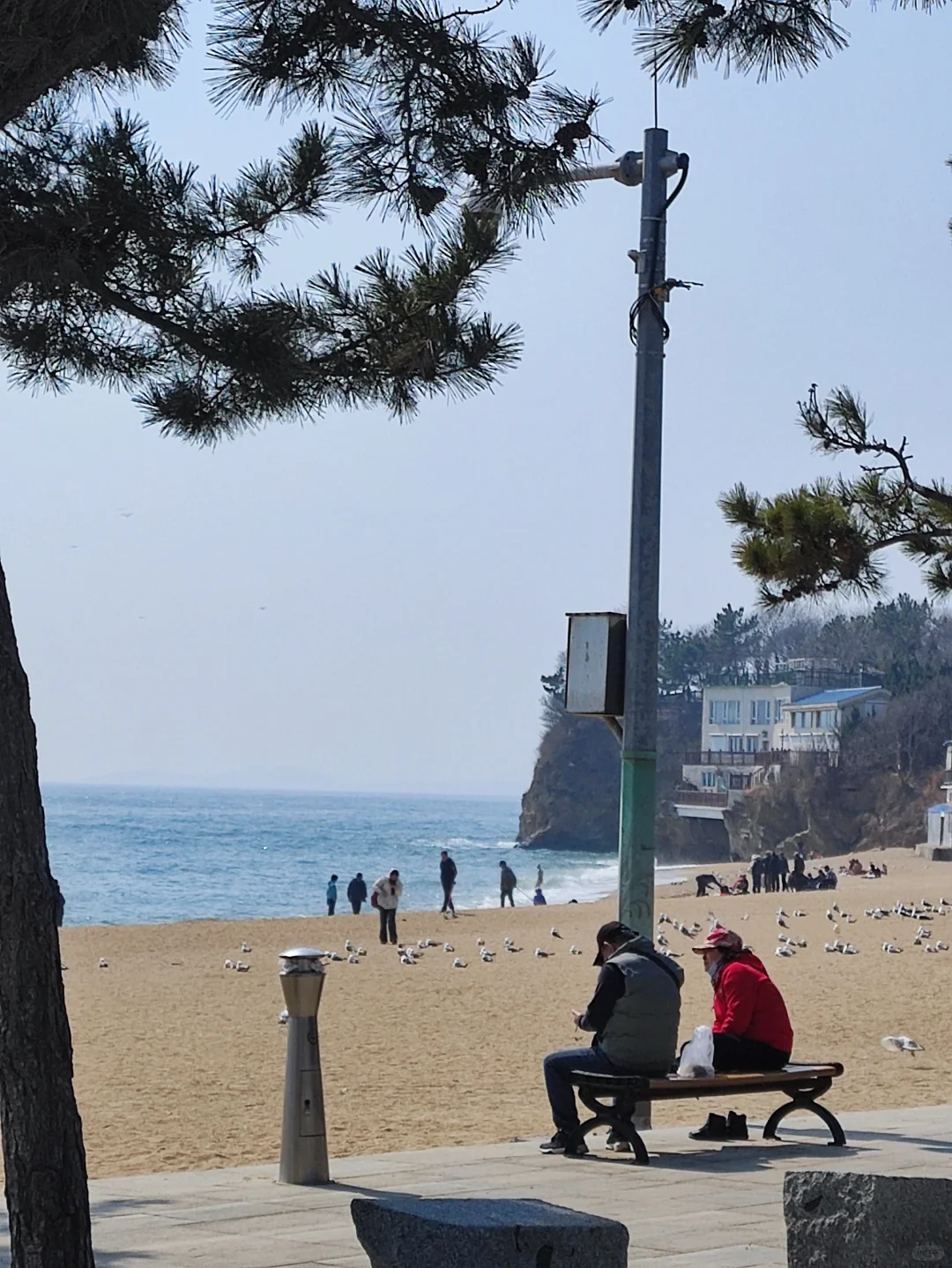 人与海鸥，共享春天的蔚蓝之境