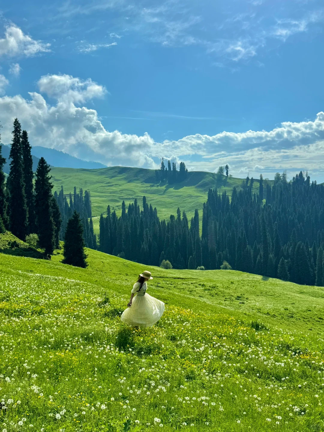 新疆的五月!!!人生真的是旷野啊!(live)