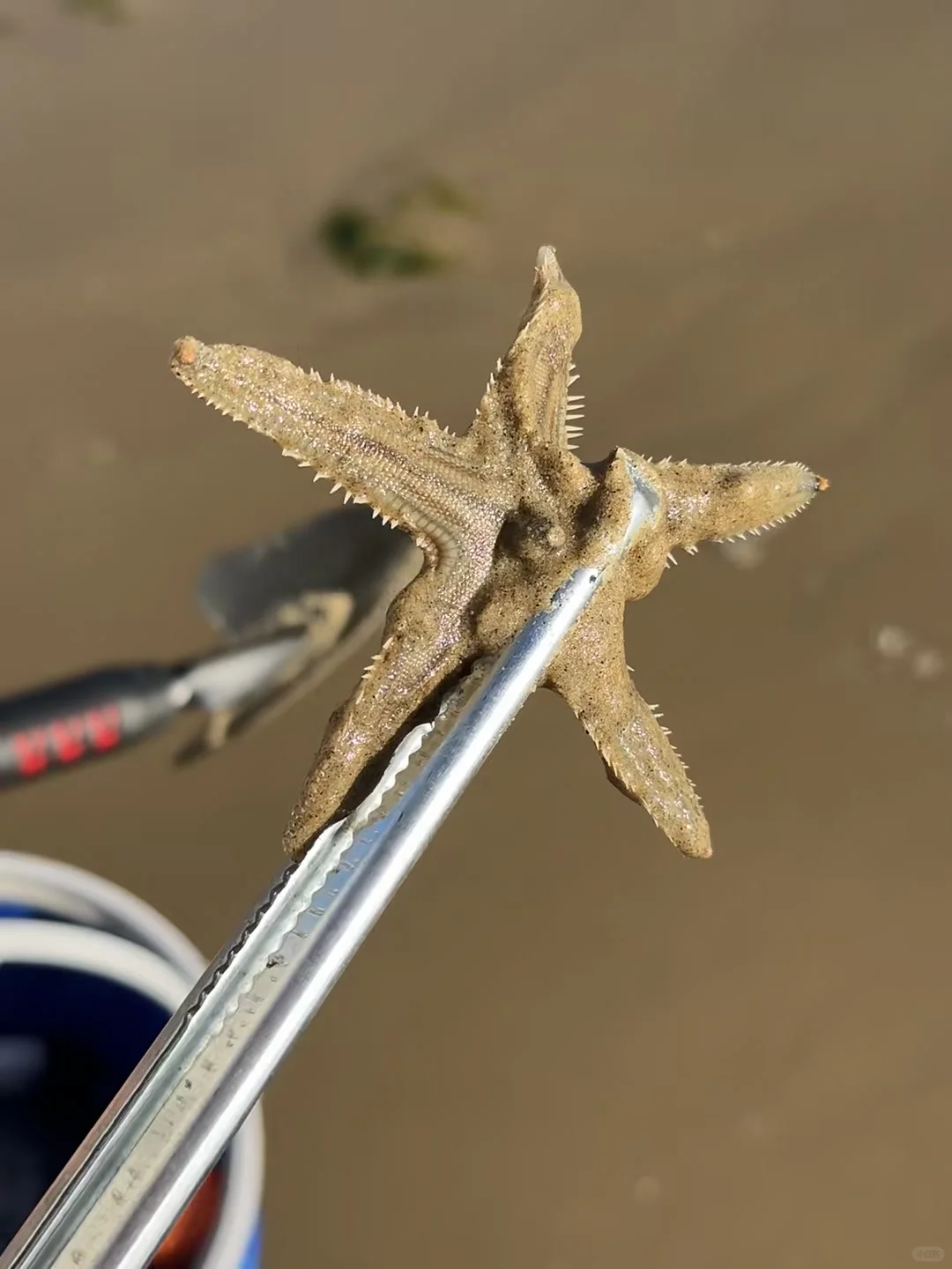 今年五一,我只带娃去一个地方:万宁!🤩