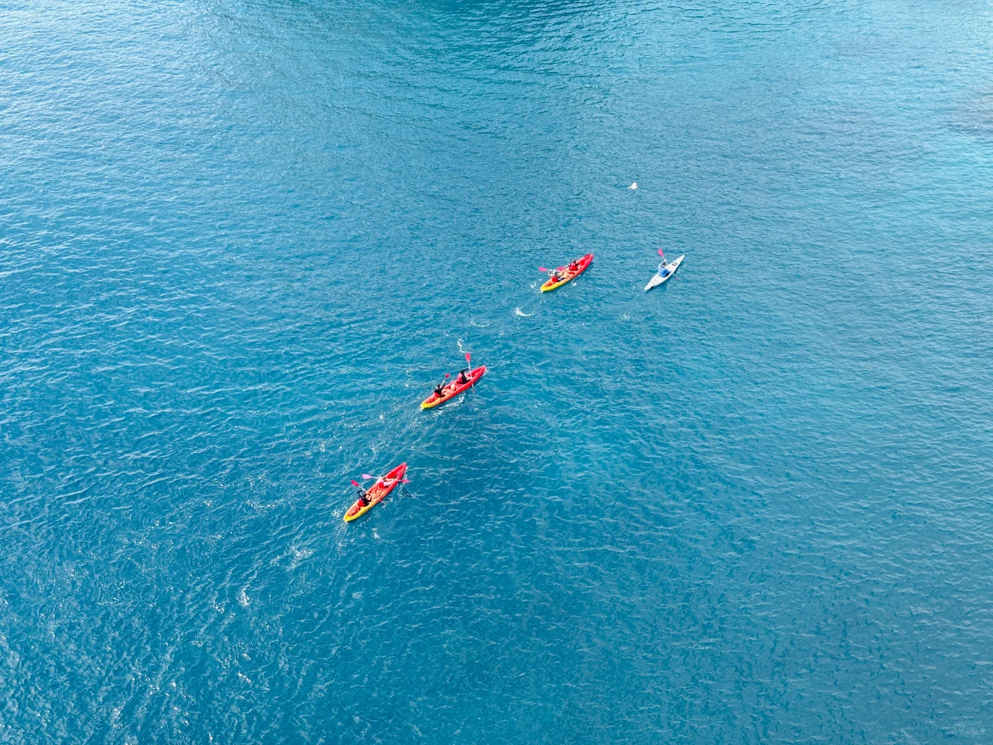 🇭🇷杜布罗夫尼克｜自由万金不换