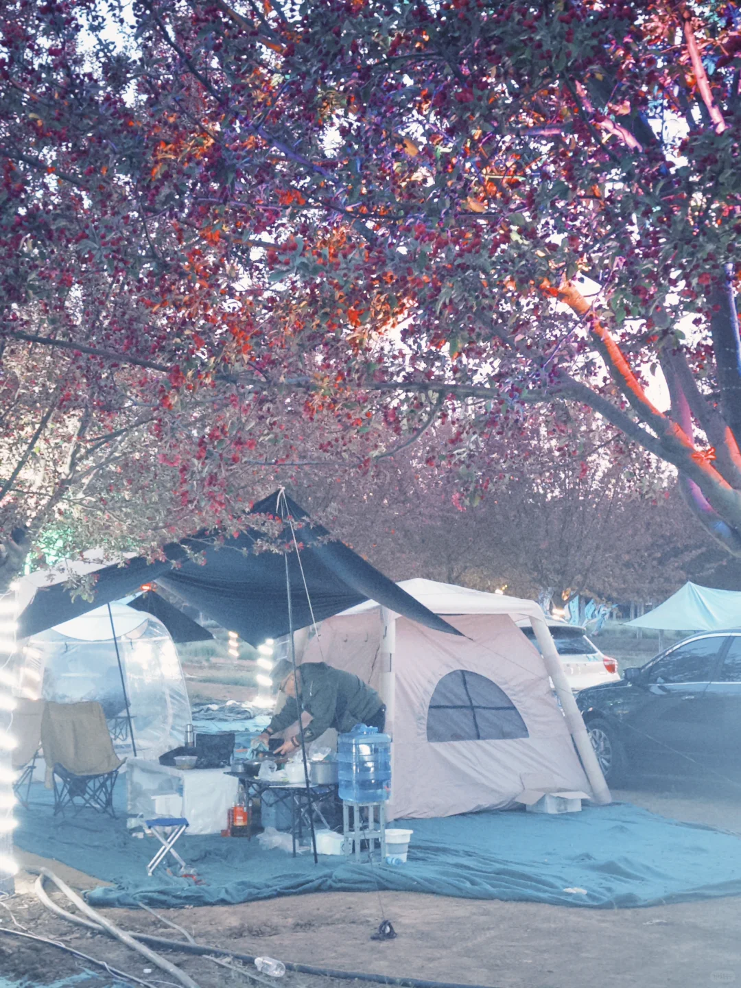 📍邯郸峰峰｜踏春之旅从这里开始吧～