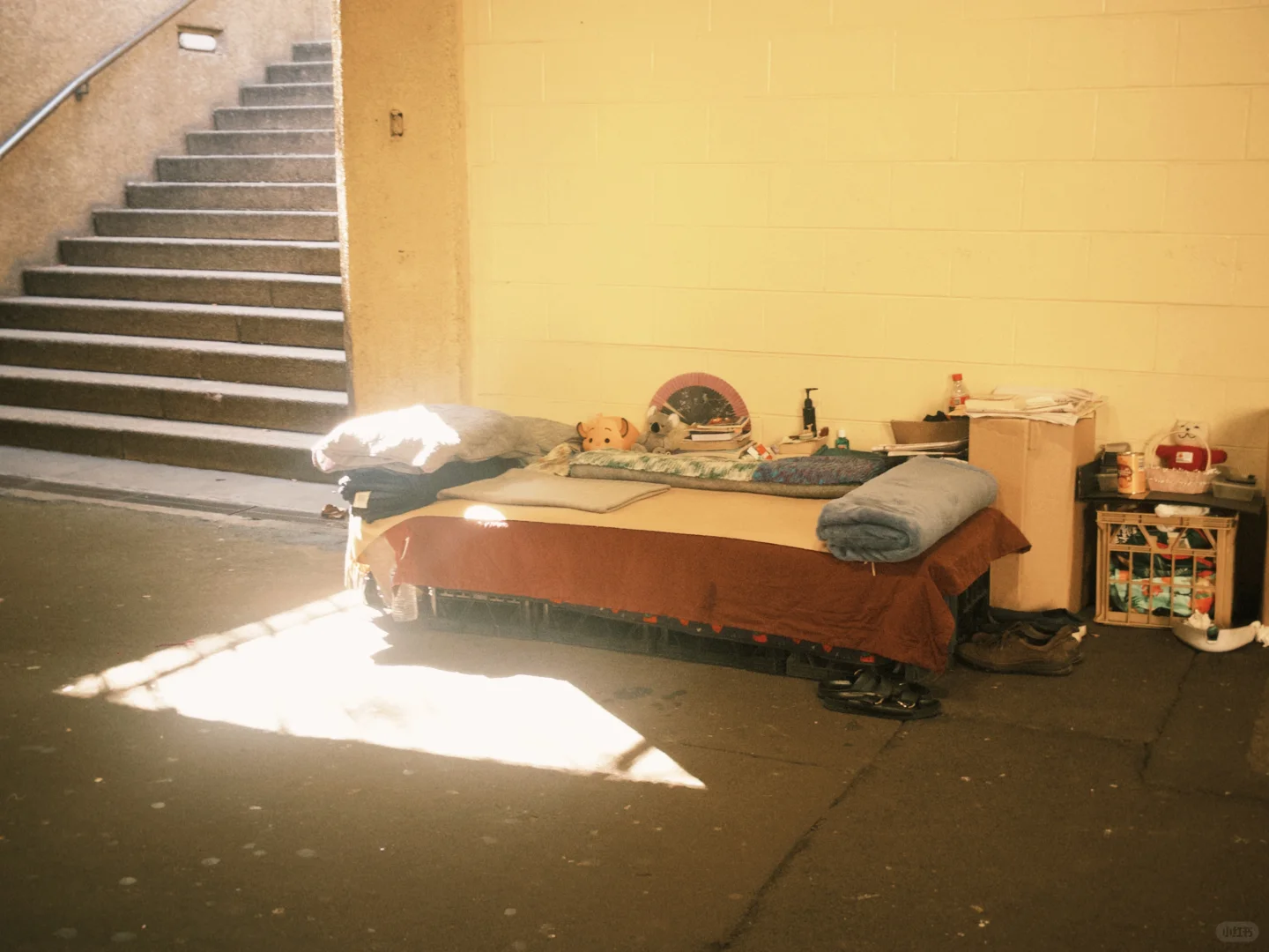 南半球依旧夏天🥥🏊🏄