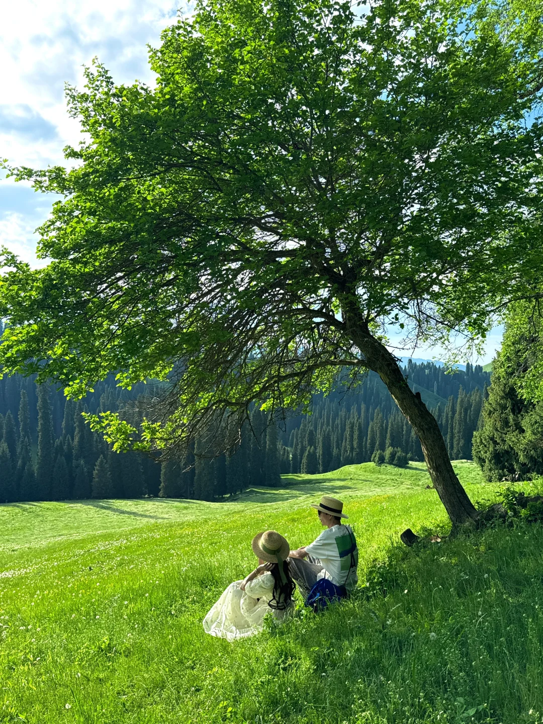 新疆的五月!!!人生真的是旷野啊!(live)