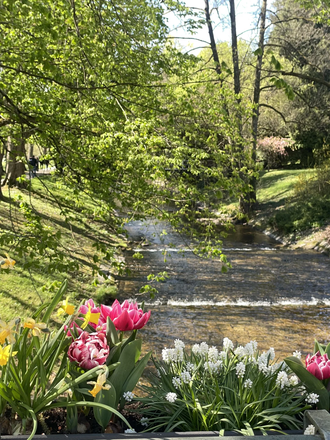 🇩🇪啊！是春天！