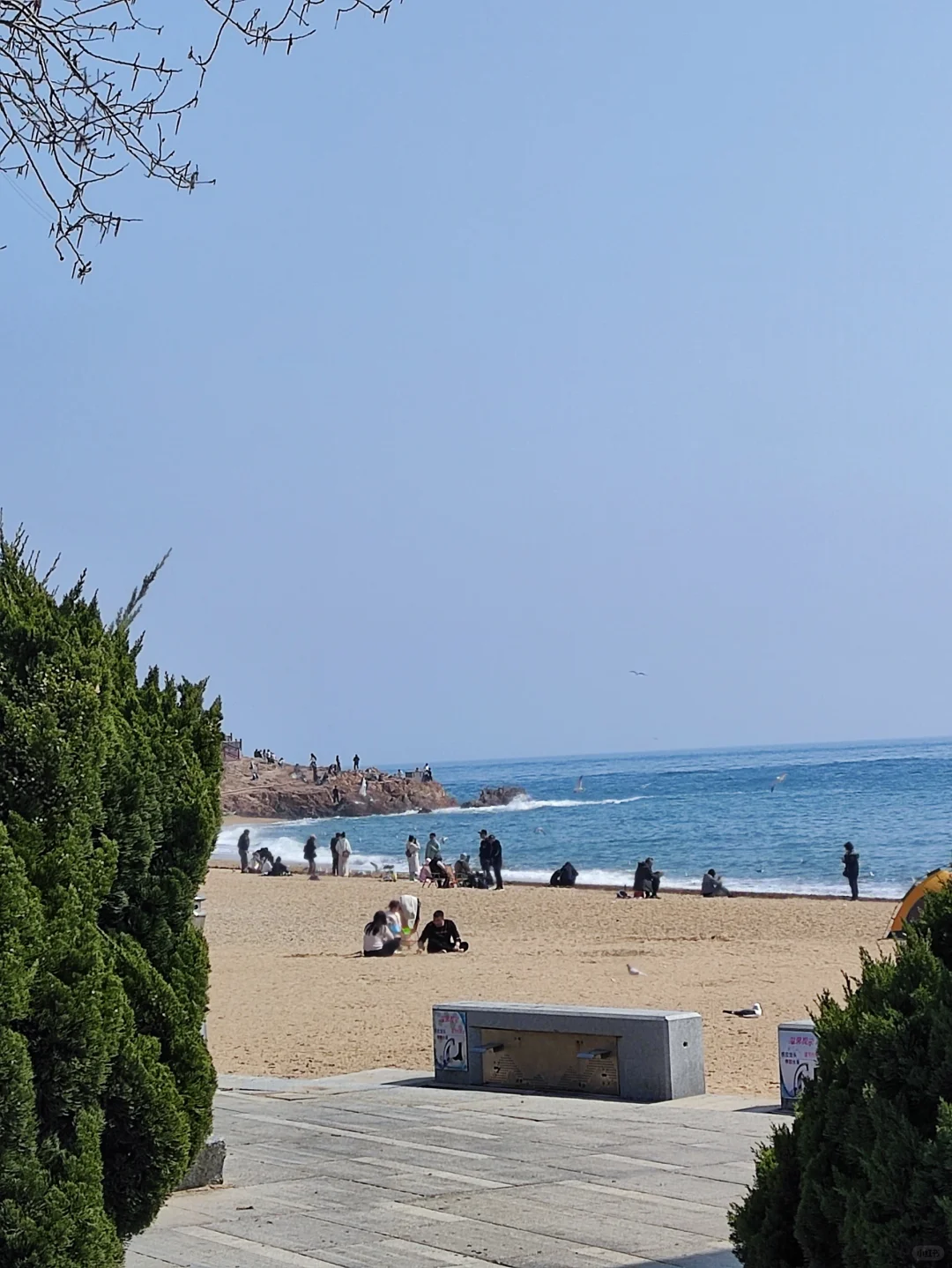 人与海鸥，共享春天的蔚蓝之境