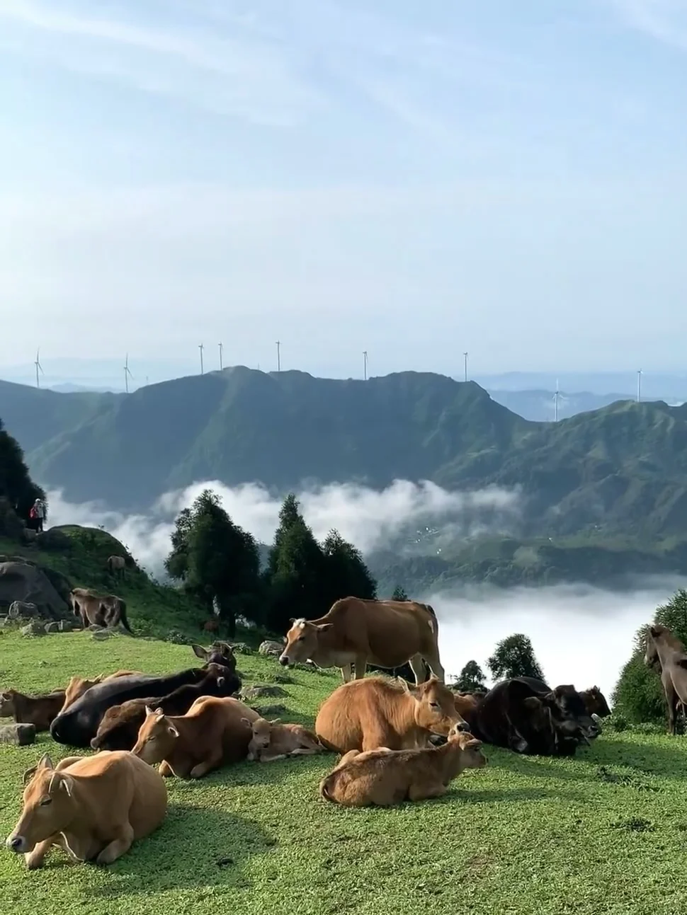 广西也太低调了吧!你不宣传这里是真糊涂啊