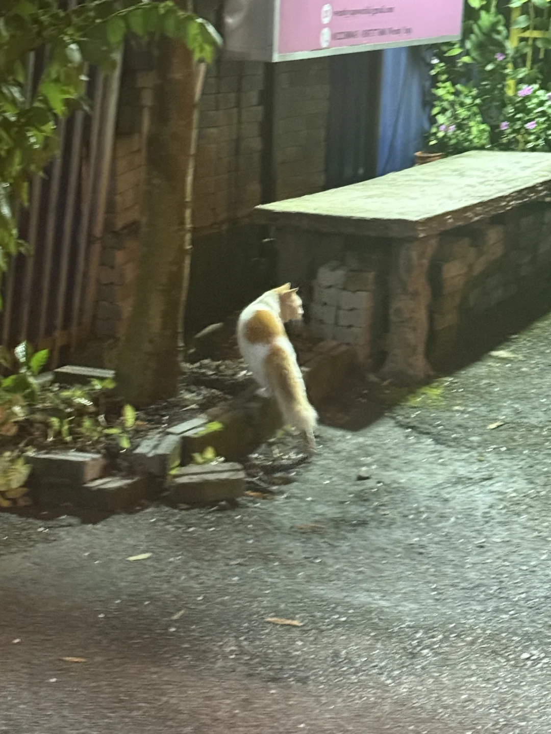 🇲🇾 Let Life Flow, Gently✨享受生活1s