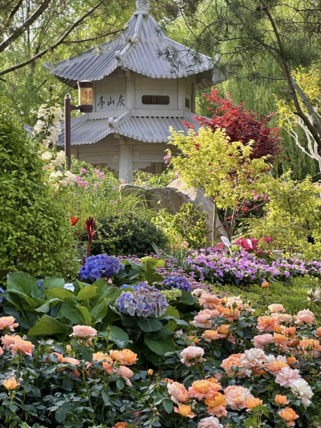 春日济南治愈系旅行攻略｜电影幻城超出片！