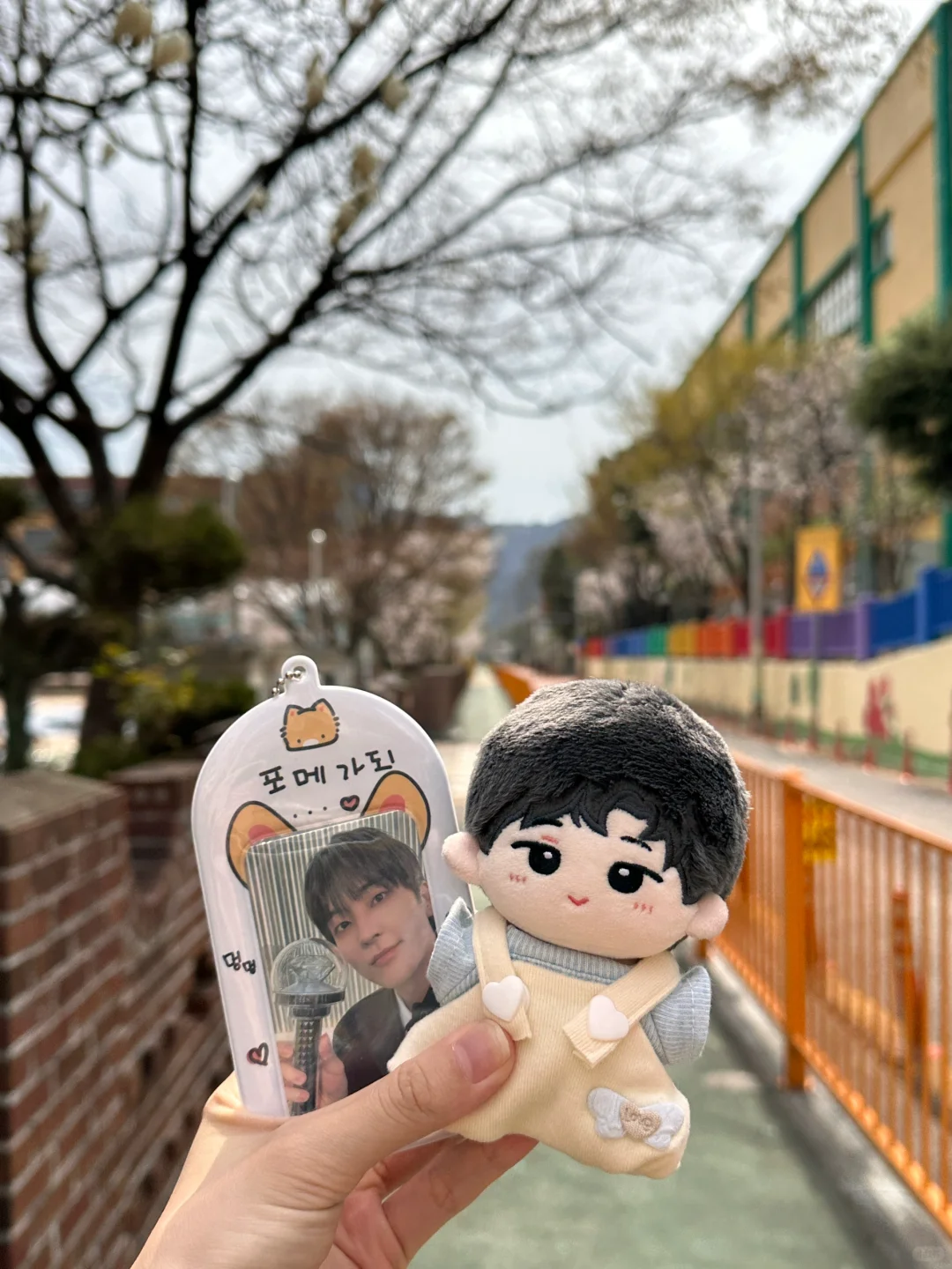 昌原plog｜来到你的故乡