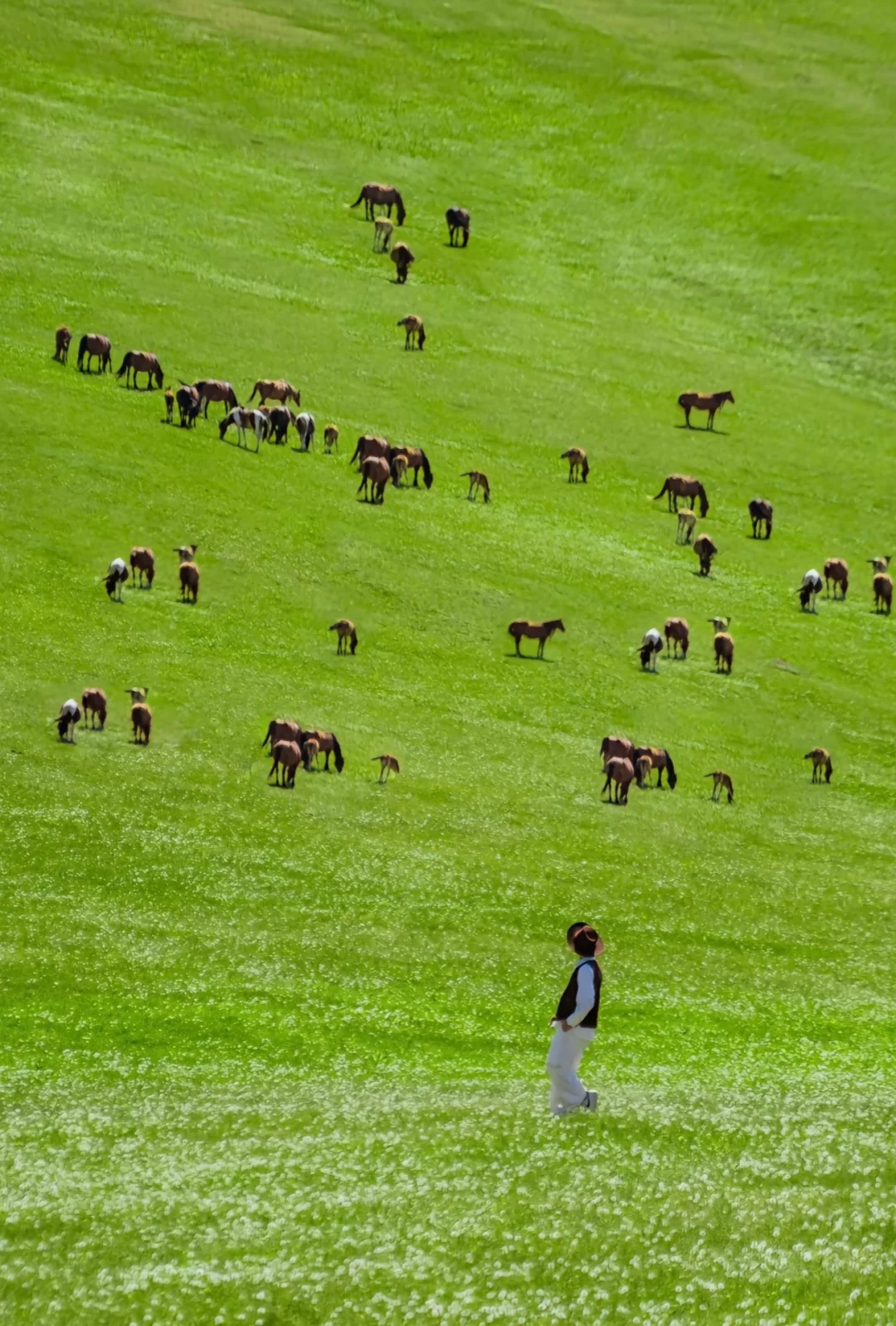 五一反向旅行！人均800➕人少景美绝佳地‼️