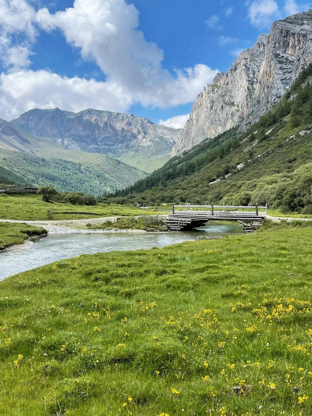 五一川西反向旅游‼️值得去🆚不值得去！