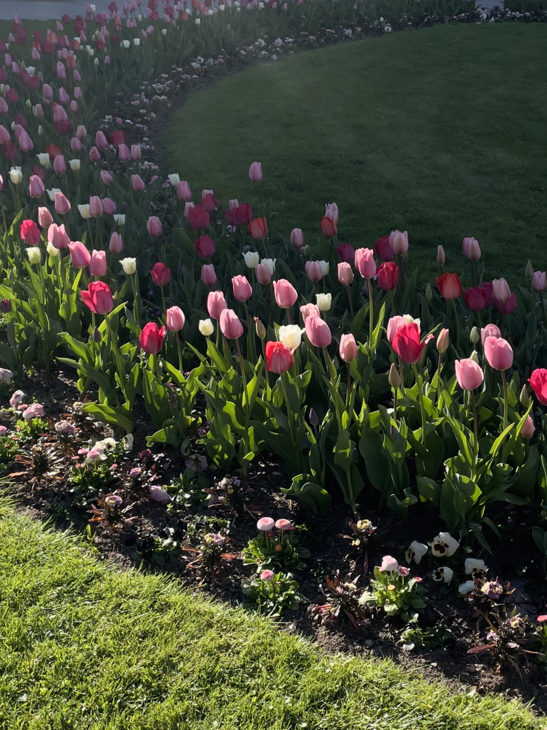 🇩🇪啊！是春天！