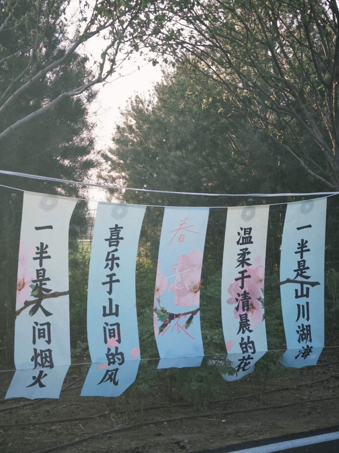 📍邯郸峰峰｜踏春之旅从这里开始吧～